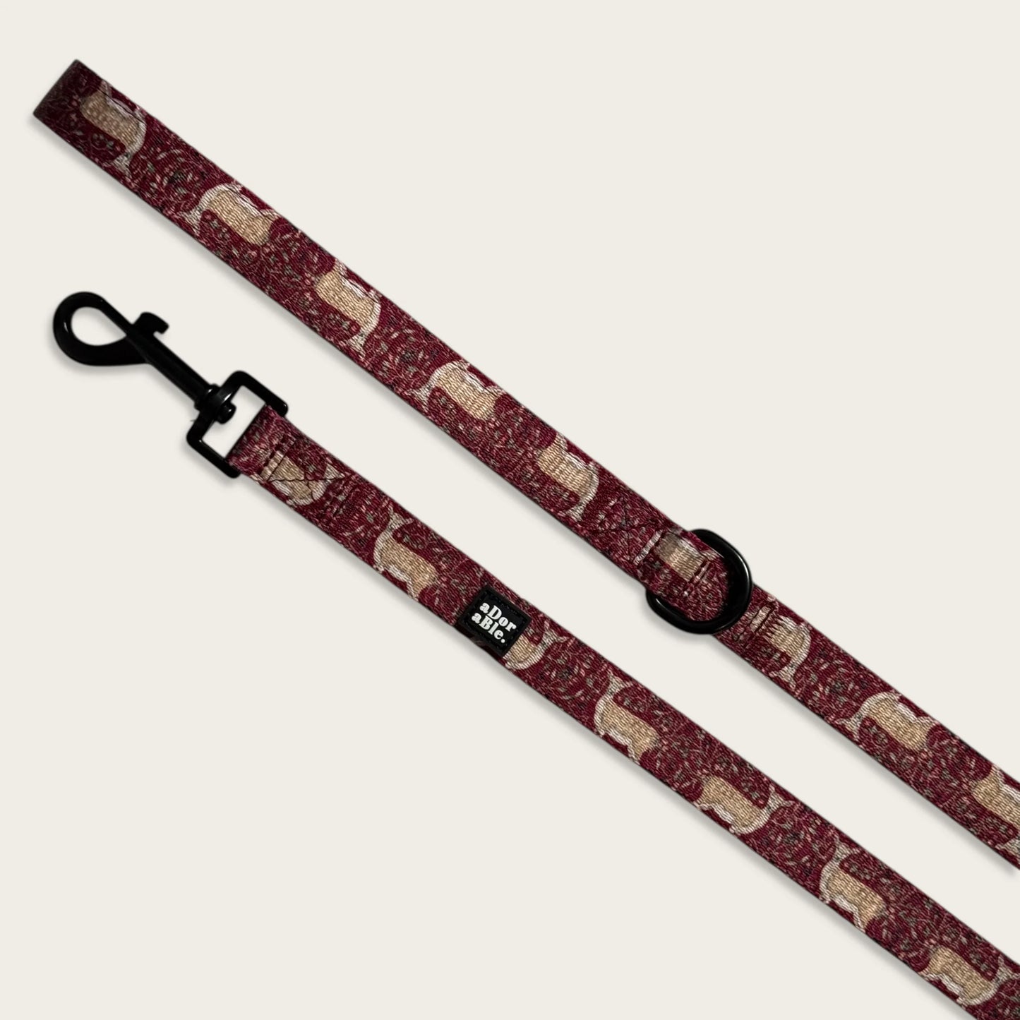 Laisse – Faucon d'hiver