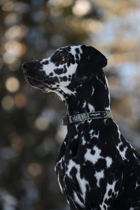 Laura Ashley - Sweet Alyssum - halsband