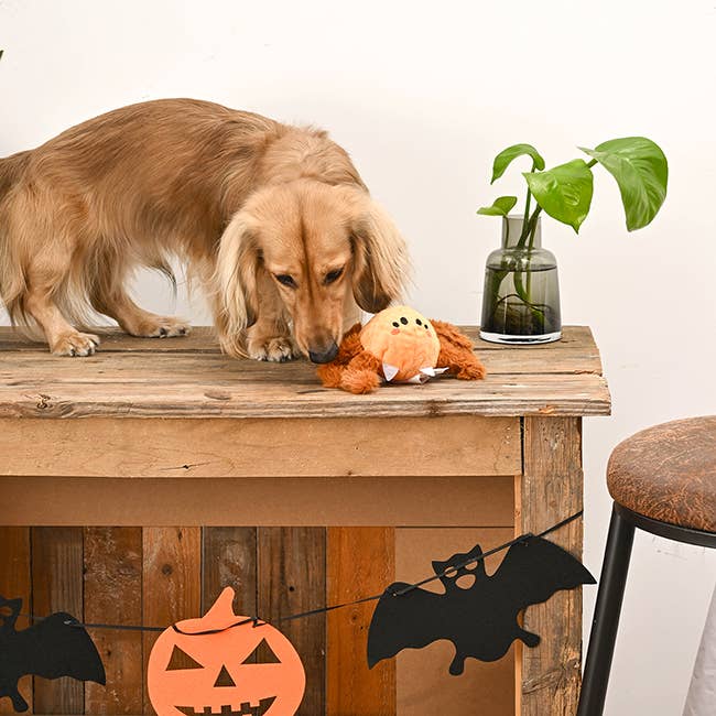 Halloweenspeeltje Bal – Spin