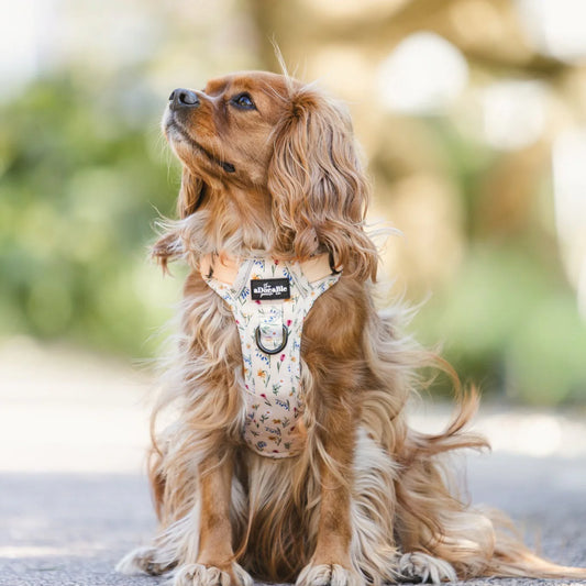 Hike & Go Lite™ Harness - Spring Garden