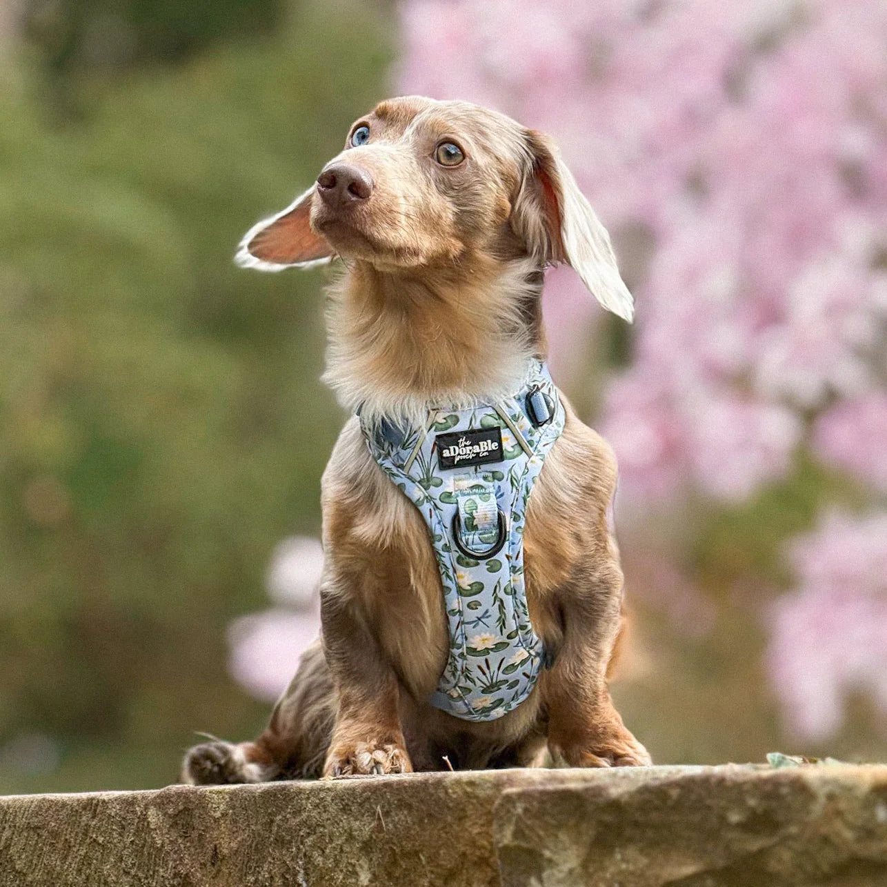 Harnais Hike & Go Lite™ - Willow Waters