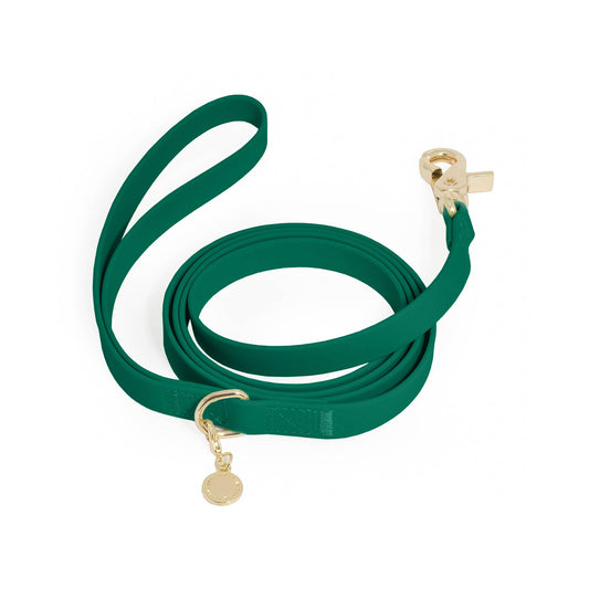 Laisse pour chien hydrofuge
