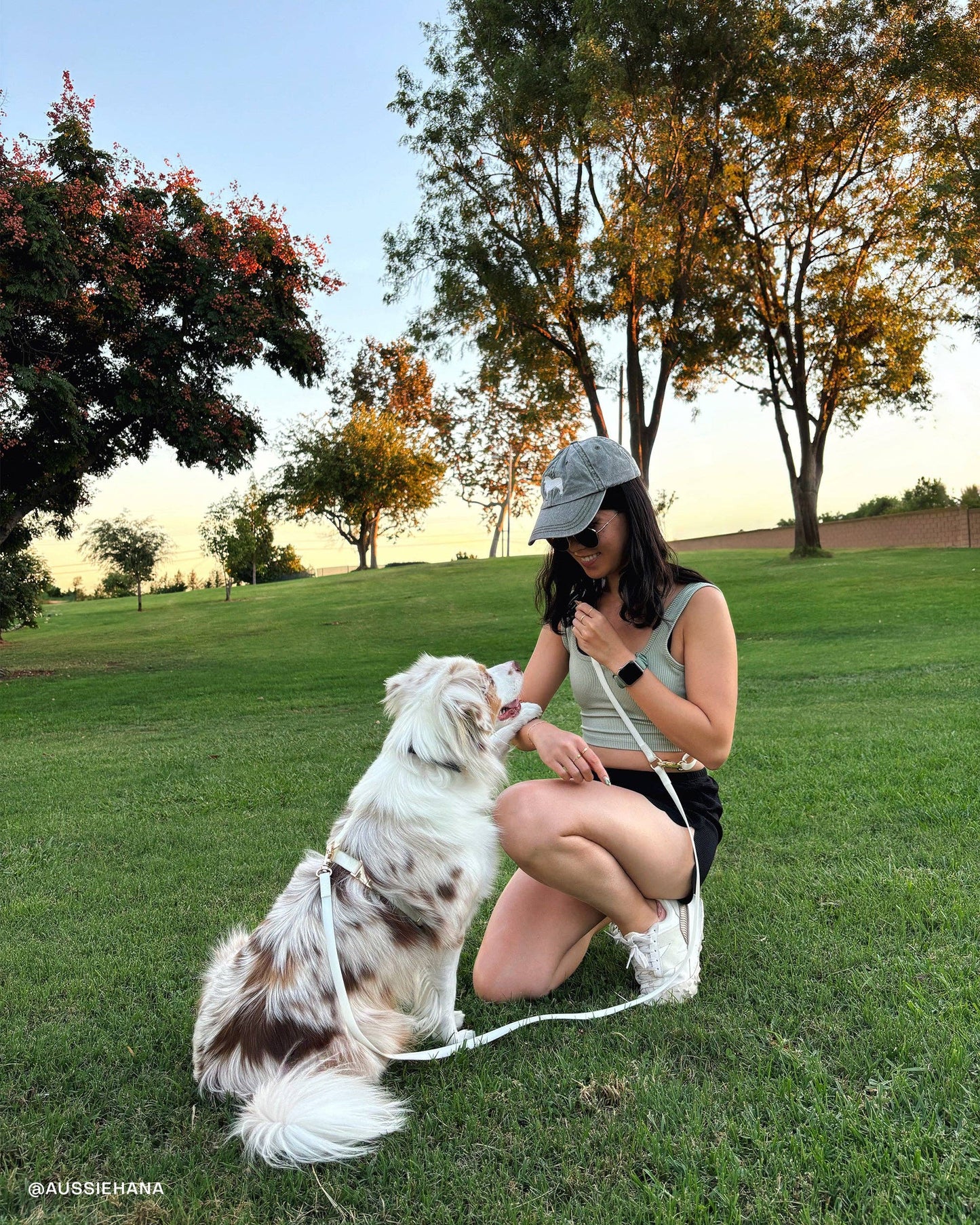 Laisse imperméable pour chien Lunar Glow Cloud