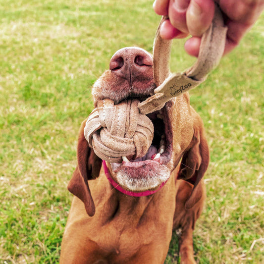 🦴 Suede Ball with Rope 