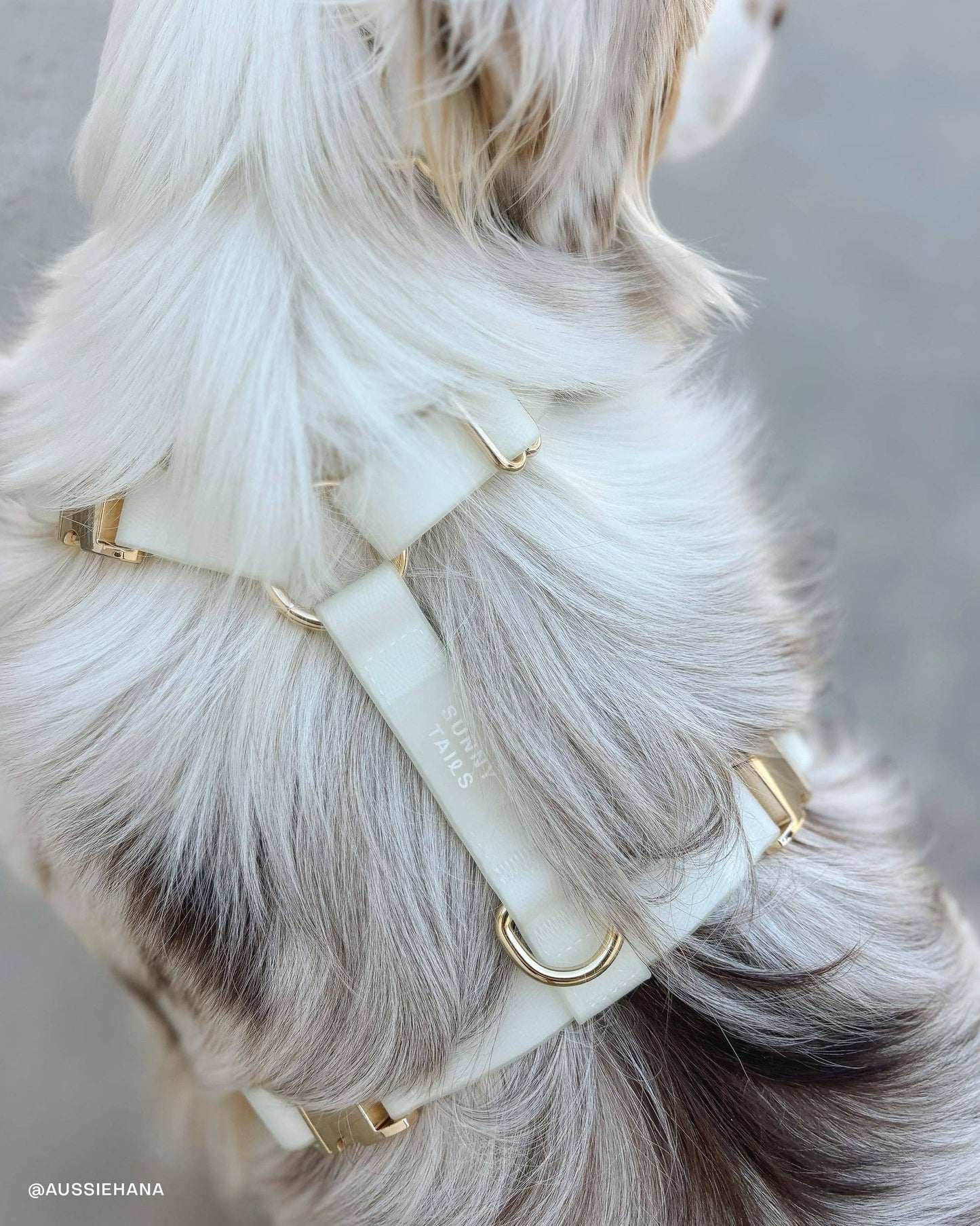 Laisse imperméable pour chien Lunar Glow Cloud