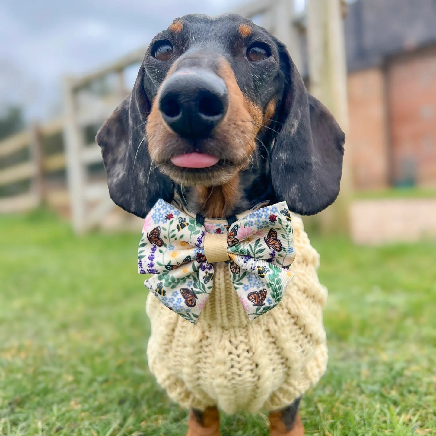 🐝 Bumbles & Butterflies – Bow Tie & Sailor Bow Tie