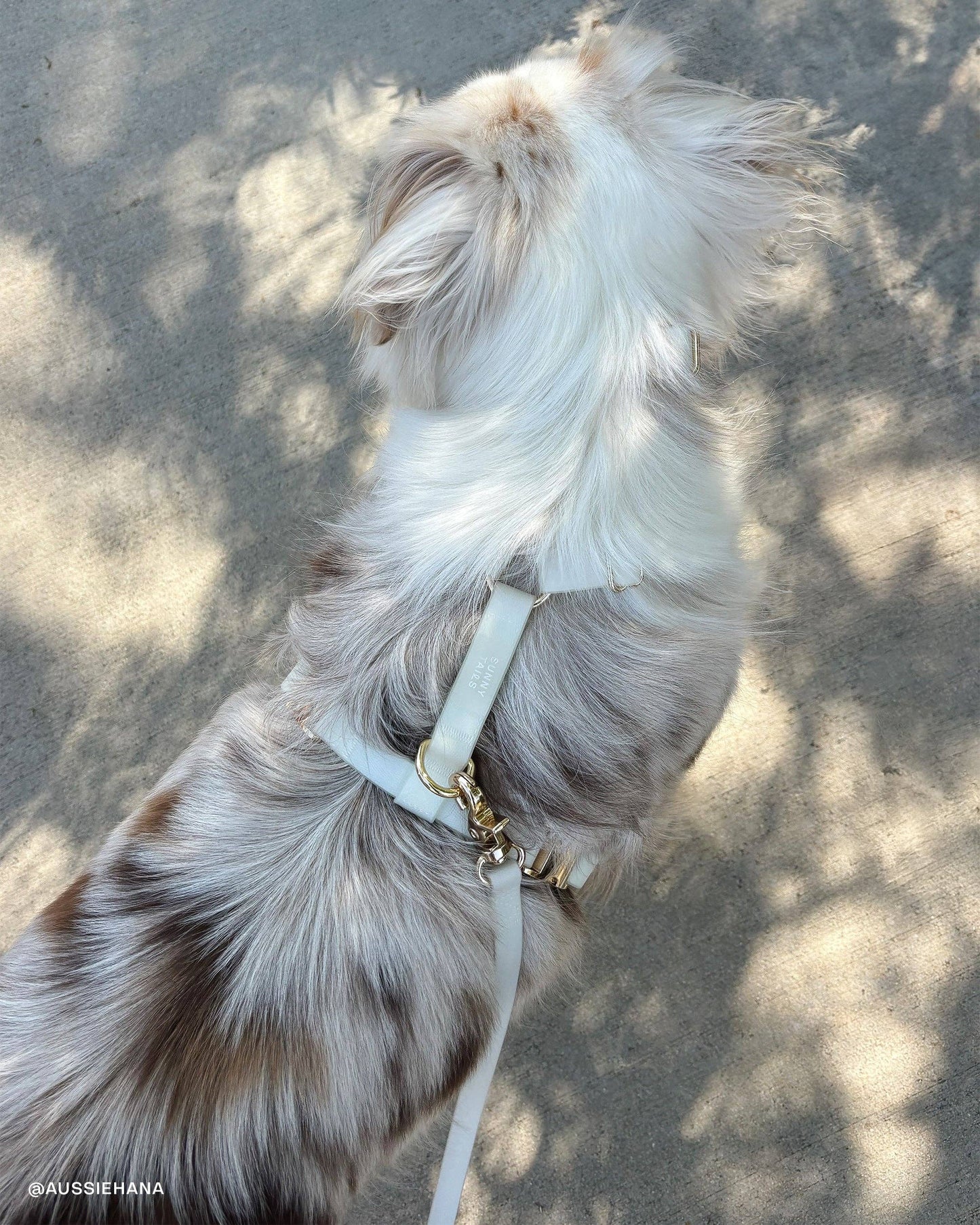 Laisse imperméable pour chien Lunar Glow Cloud