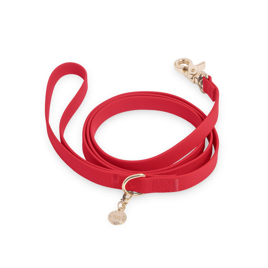 Laisse pour chien hydrofuge