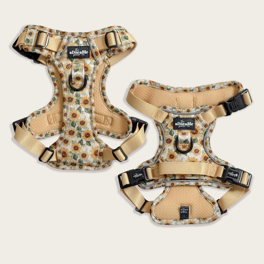 Hike &amp; Go Lite™ Harness - Sunflower Season