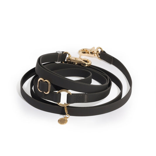 Waterafstotende hondenriem