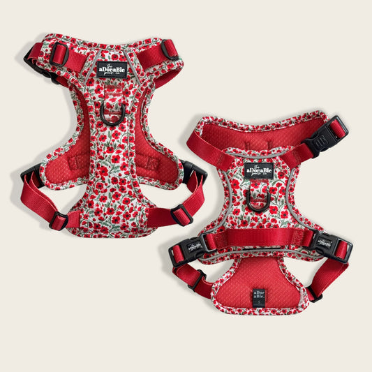 Hike & Go™ Harnas – Painted Poppies