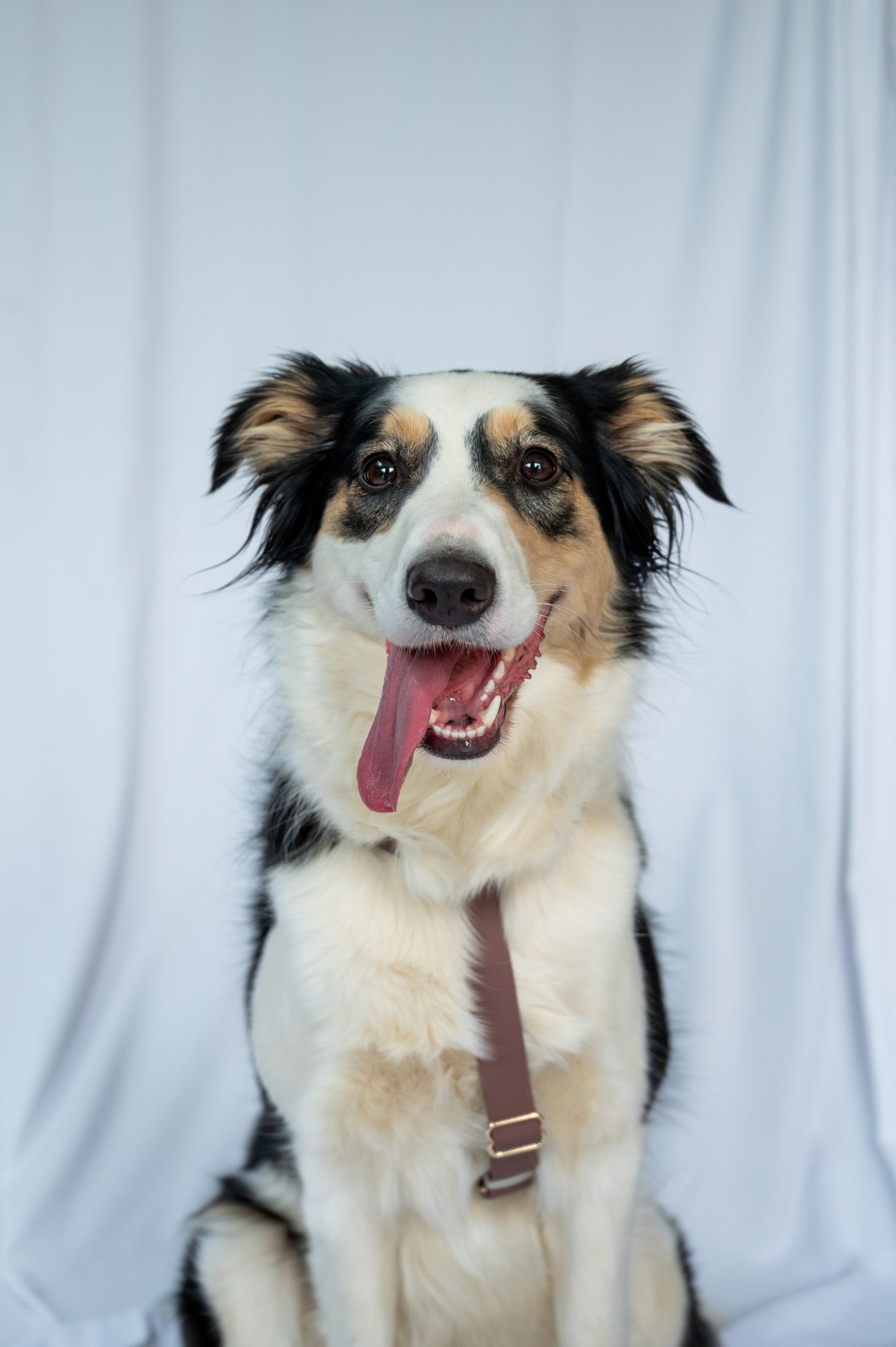 Water-repellent harness