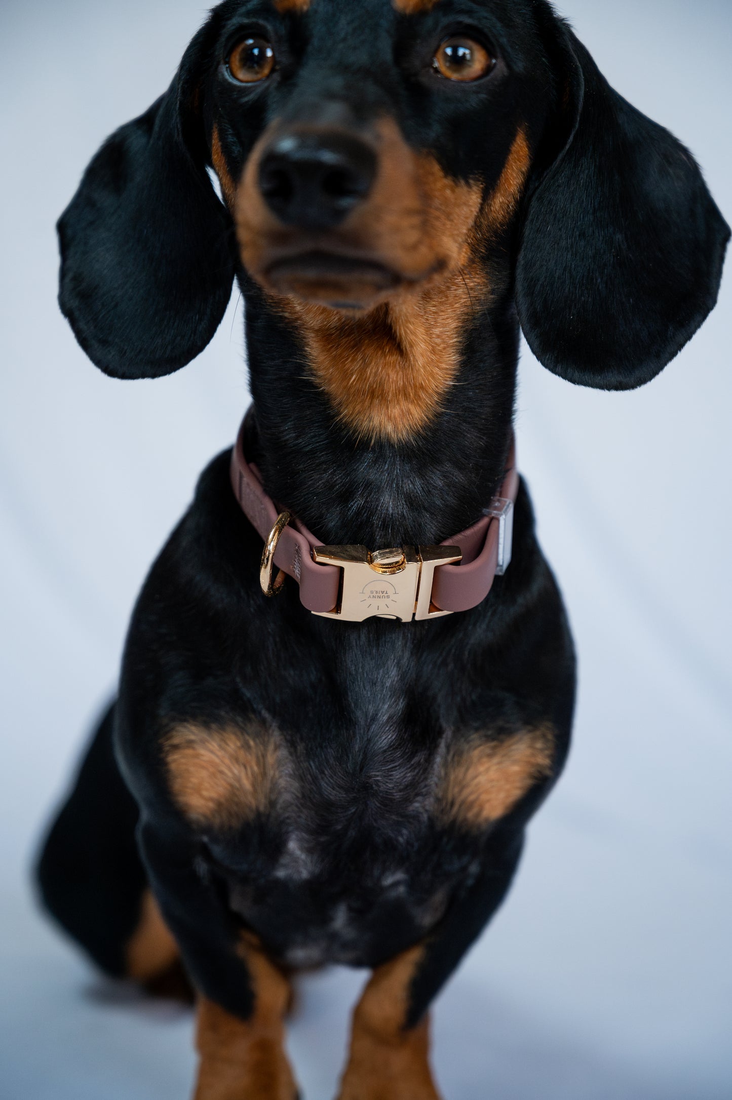 Water-repellent collar