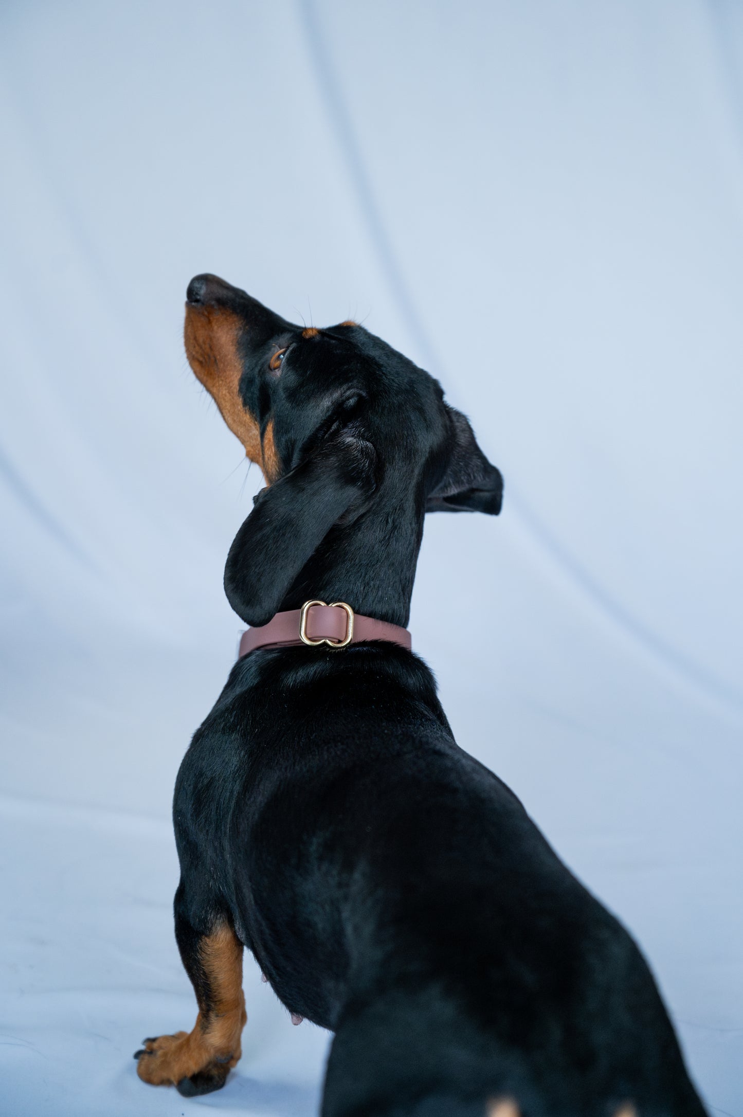 Water-repellent collar