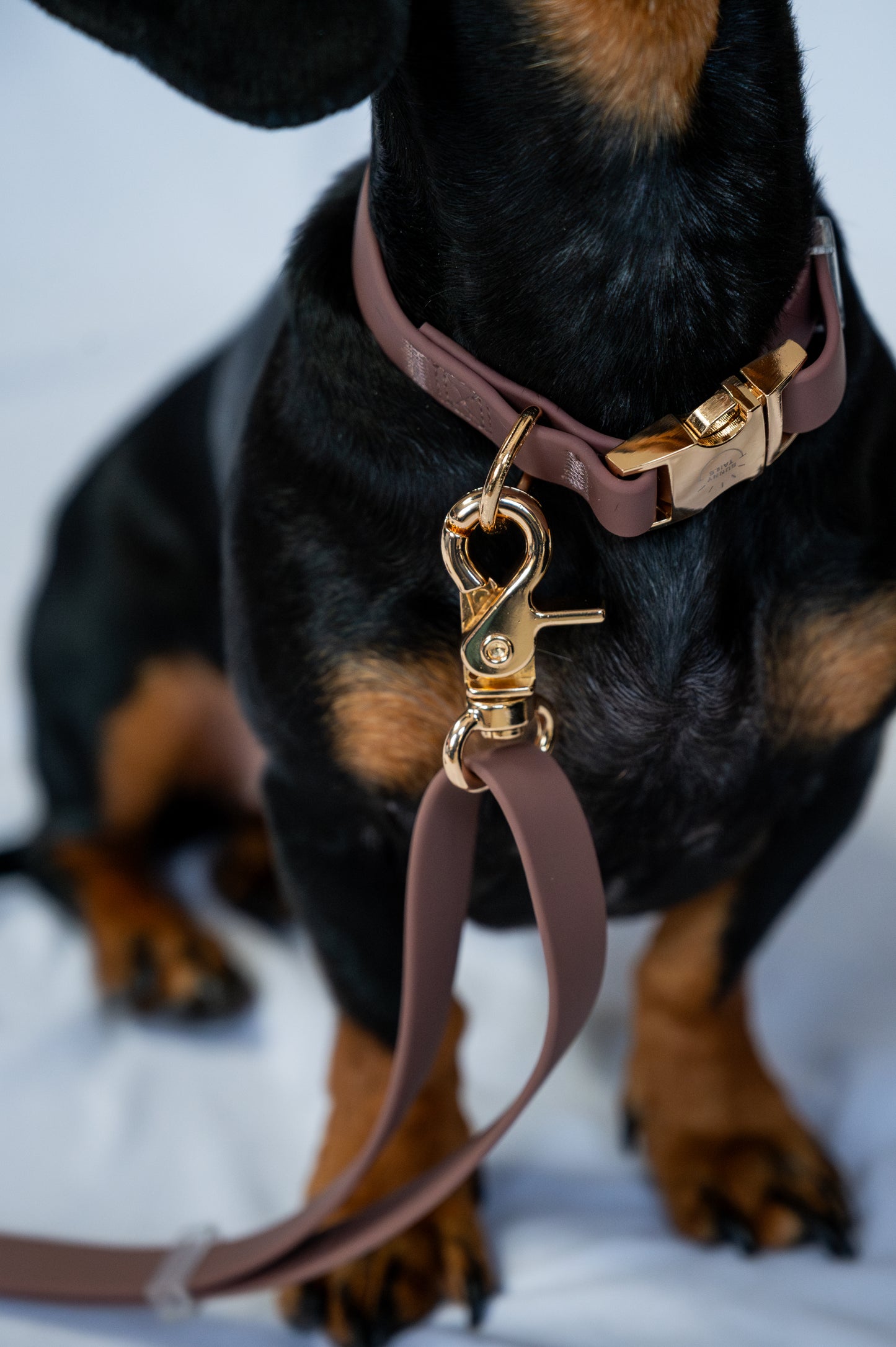 Water-repellent collar