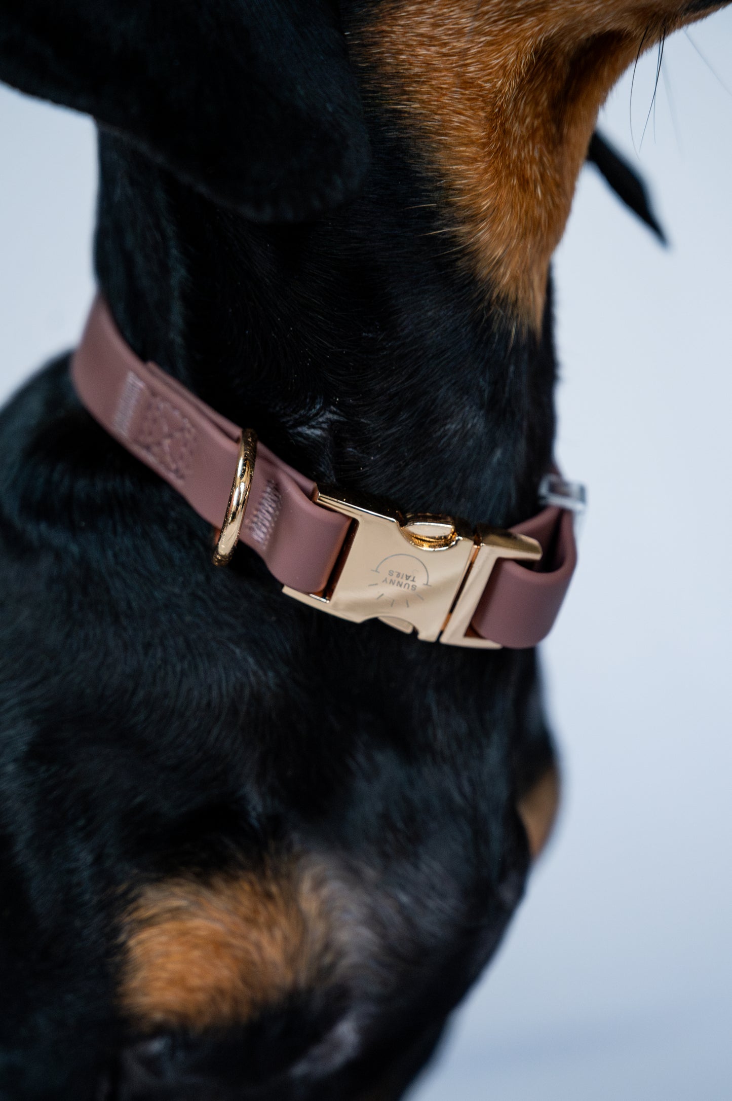 Water-repellent collar