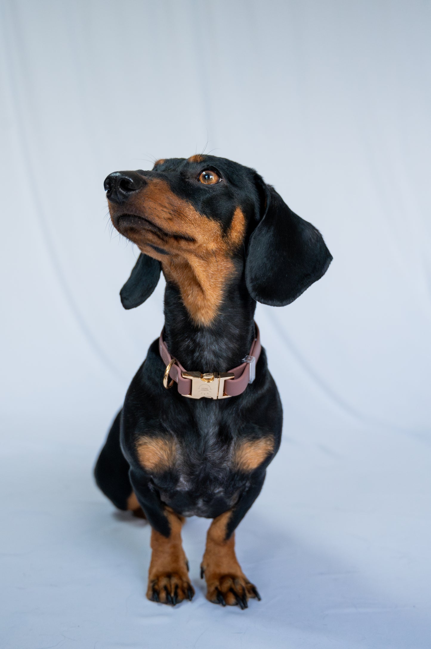 Water-repellent collar