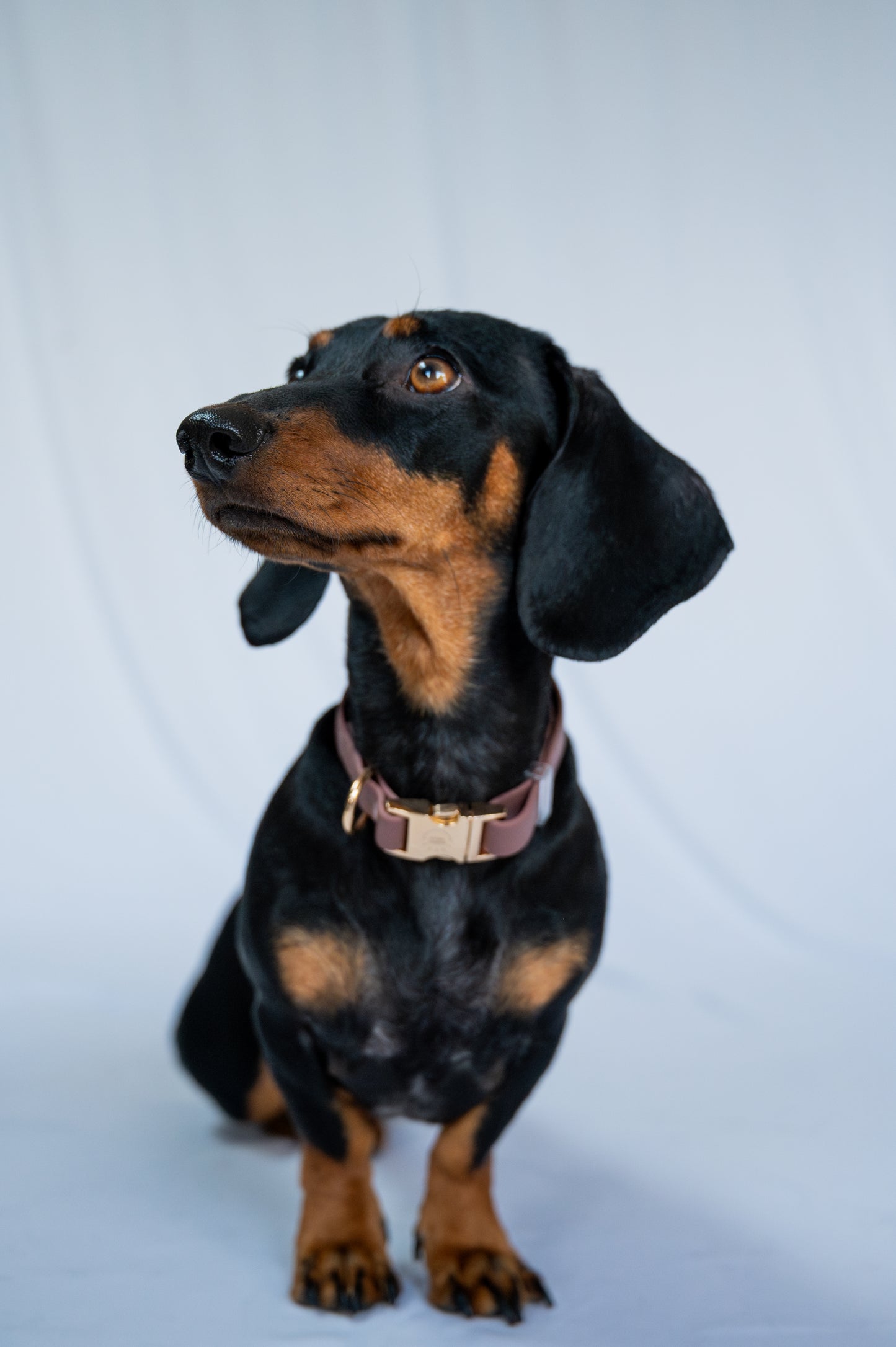 Water-repellent collar