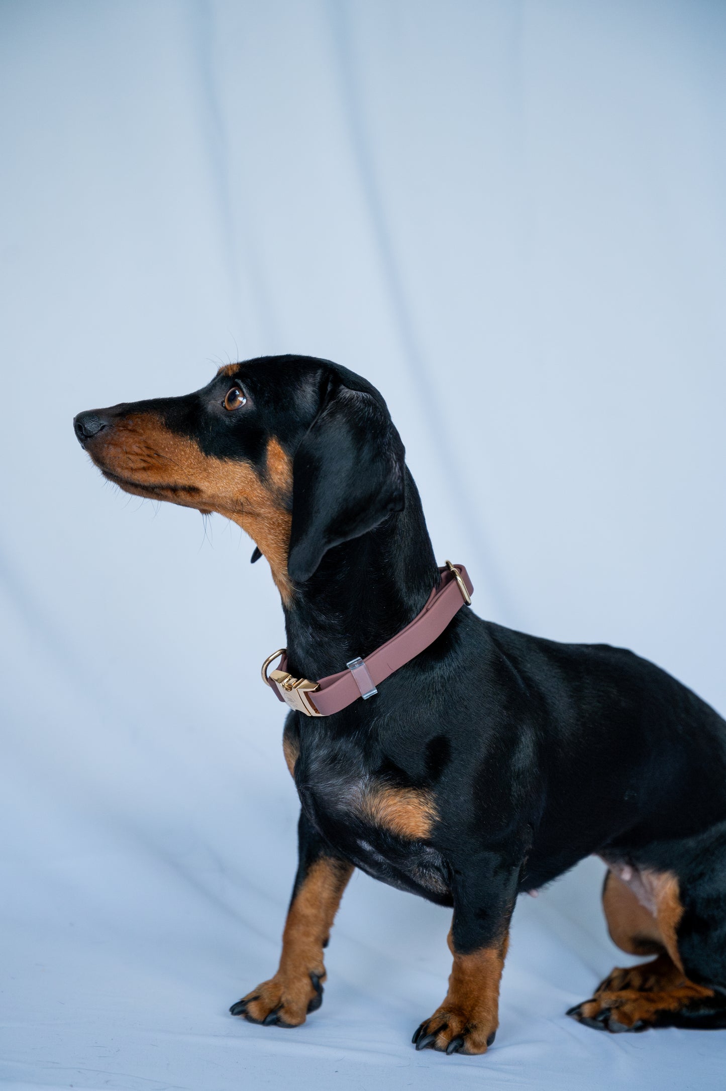 Water-repellent collar