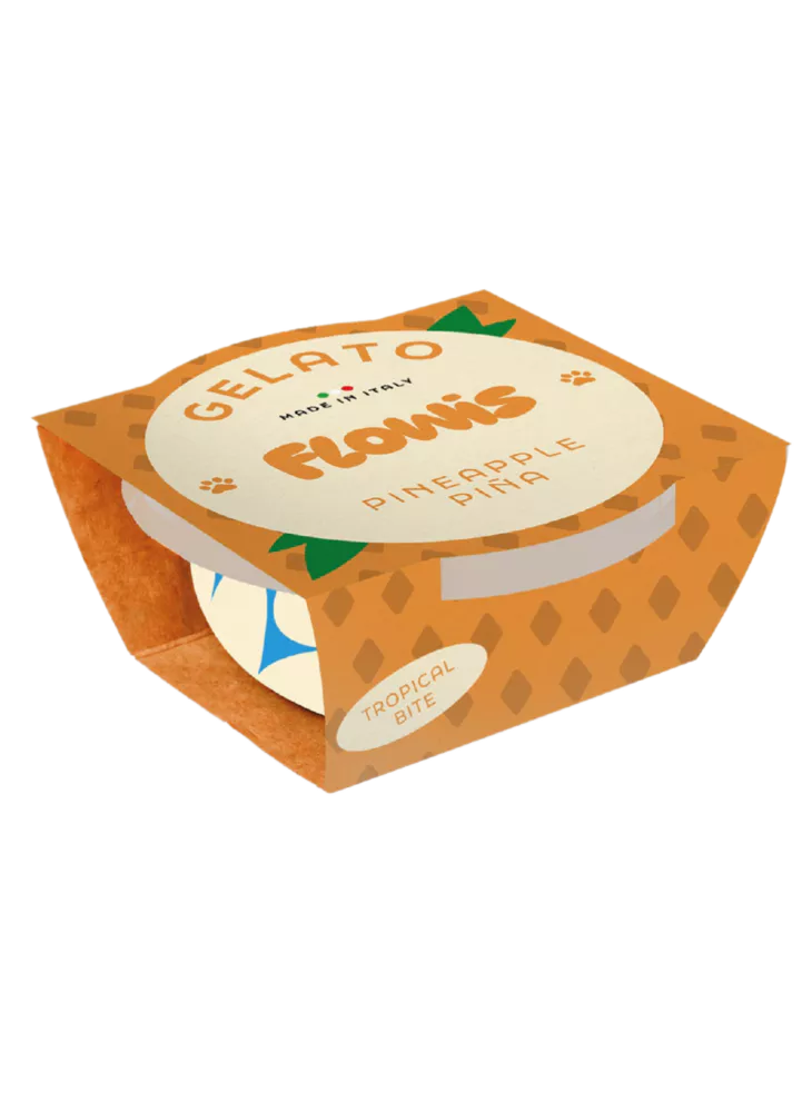 Crème glacée pour chien Flowis
