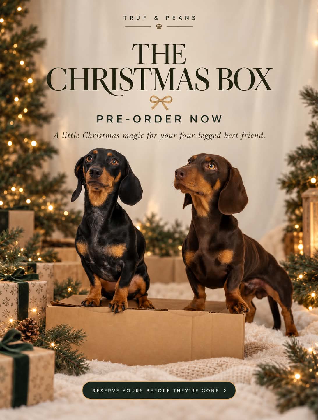 The Christmas box