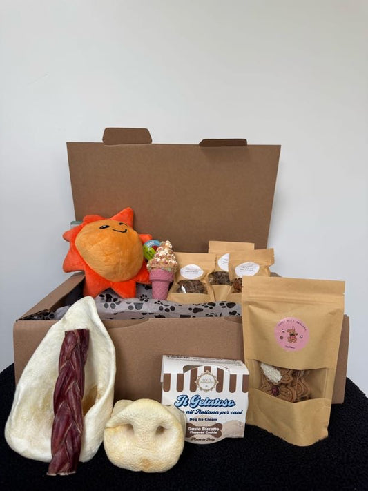 🎁De kwispelbox