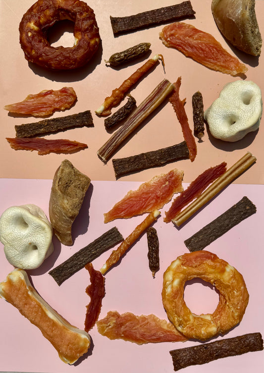 🦴 Snack Box