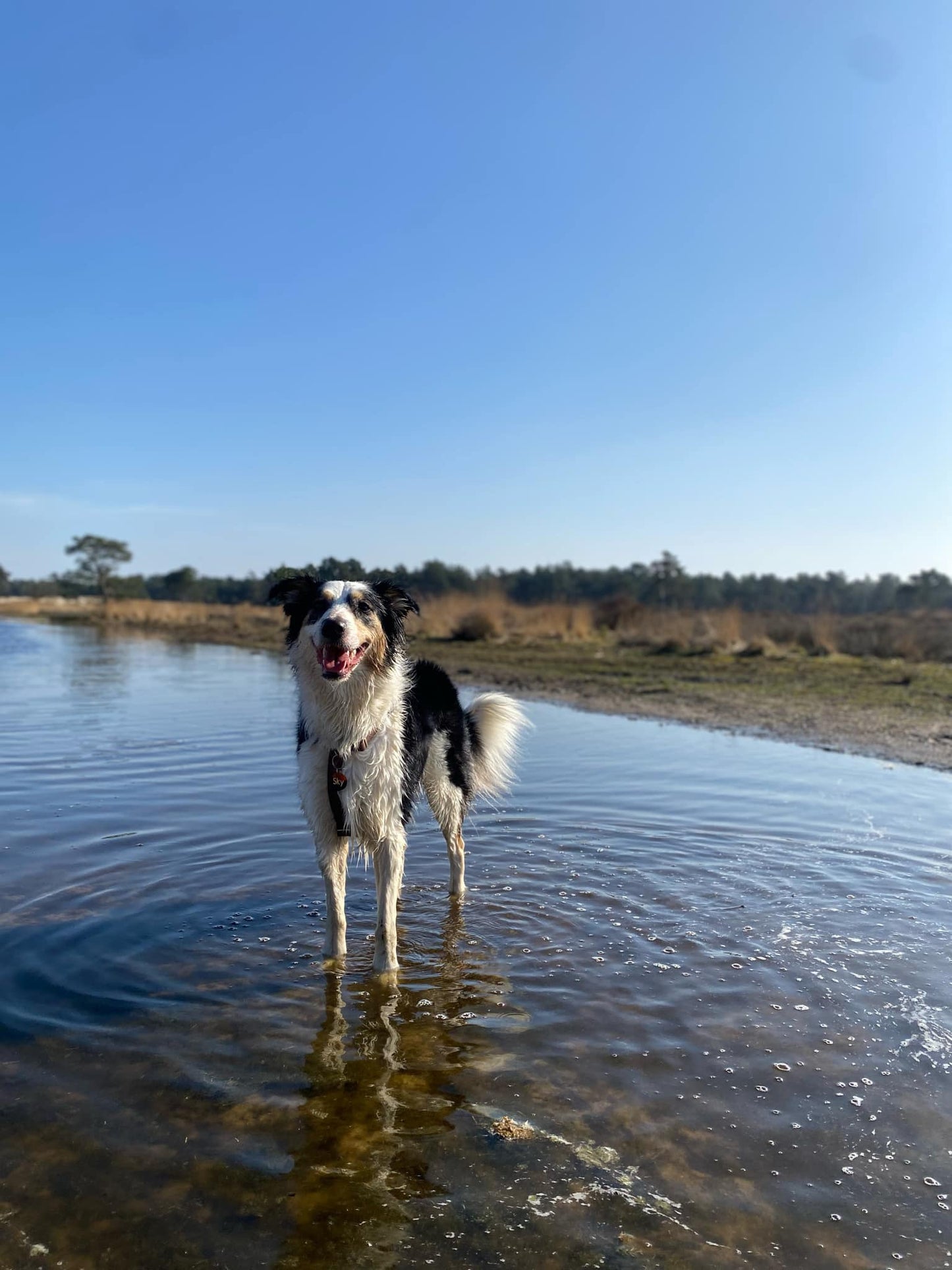 Water-repellent harness