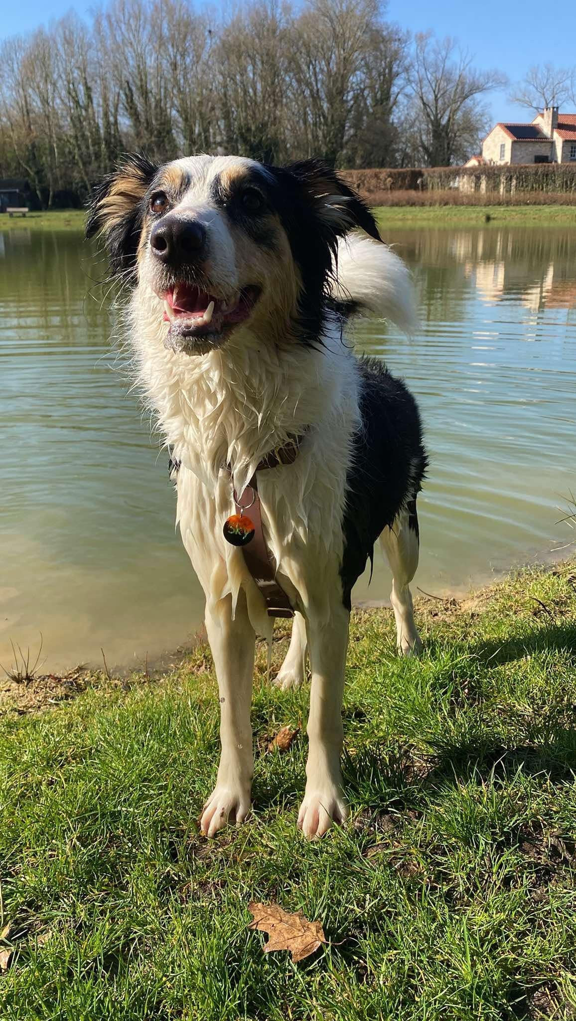 Water-repellent harness