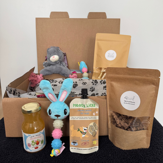 🐶 Coffret de soins pour chiots – Précommande