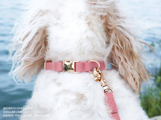 Laisse pour chien hydrofuge