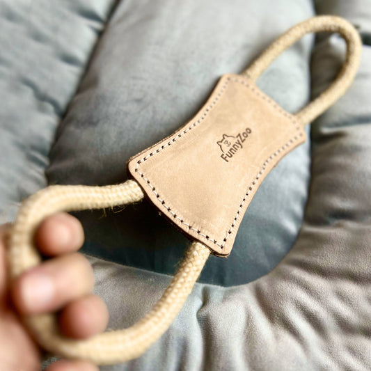 Bouée de sauvetage en cuir pour chien