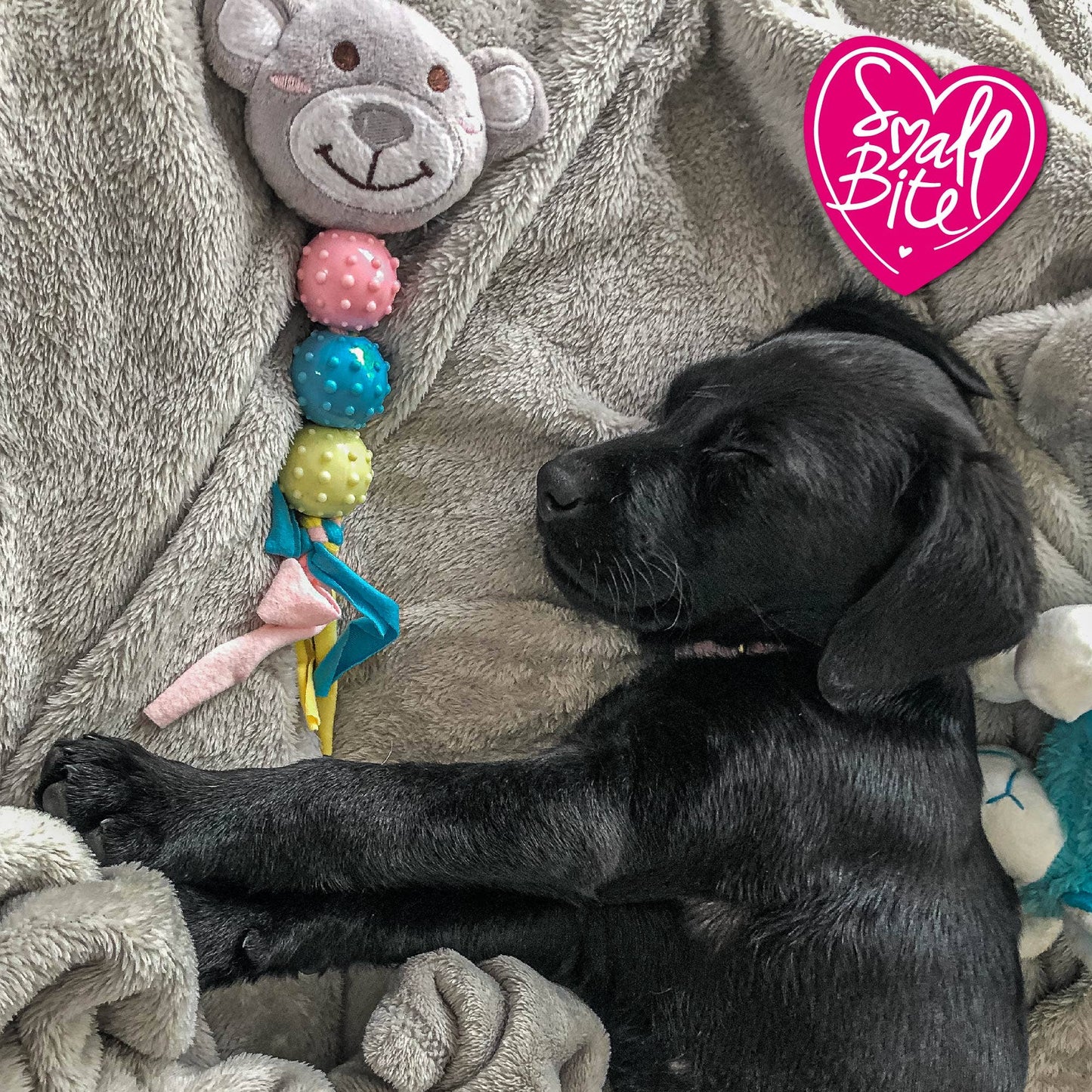 Small Bite Puppy Bijtring – Beer, Konijn of Hart