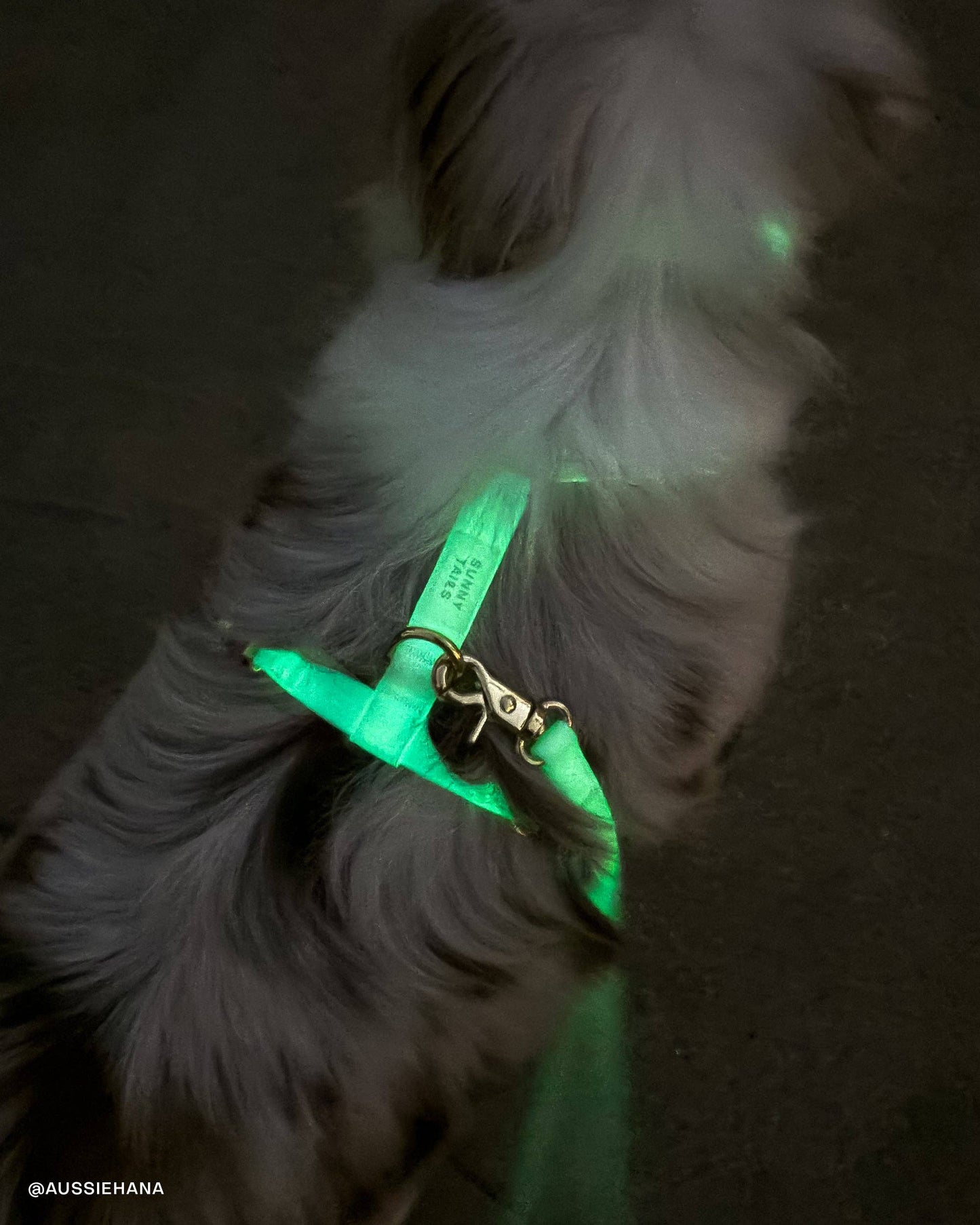 Laisse imperméable pour chien Lunar Glow Cloud