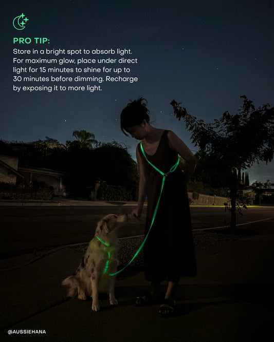 Laisse imperméable pour chien Lunar Glow Cloud