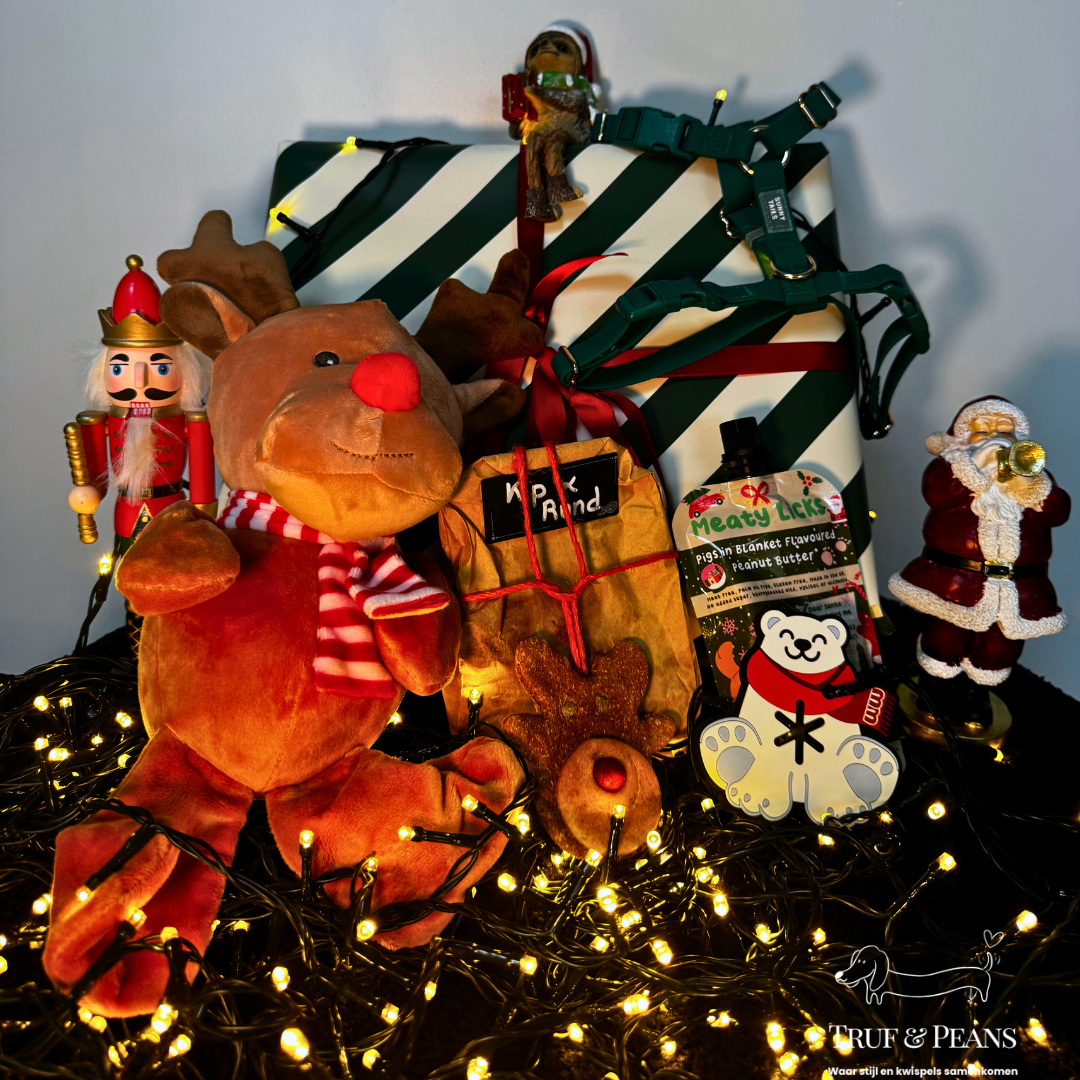 Coffret Premium de Noël – Édition mystère de luxe