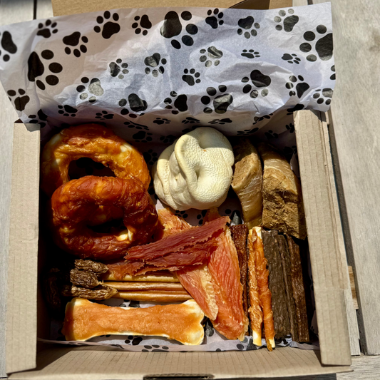 🦴 Snack Box